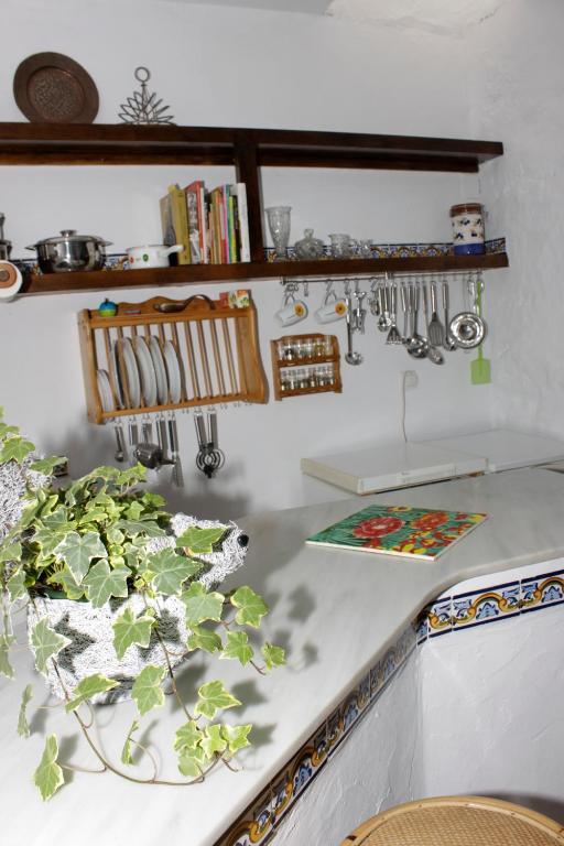 Villas Los Olivares - Deniasol Els Poblets Zimmer foto